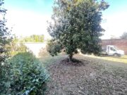 IMG_0966 1791276478 gallery 180x135