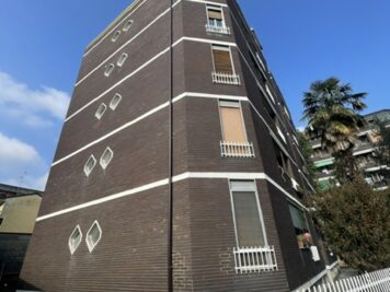 IMG_1310 1793032343 gallery 356x267